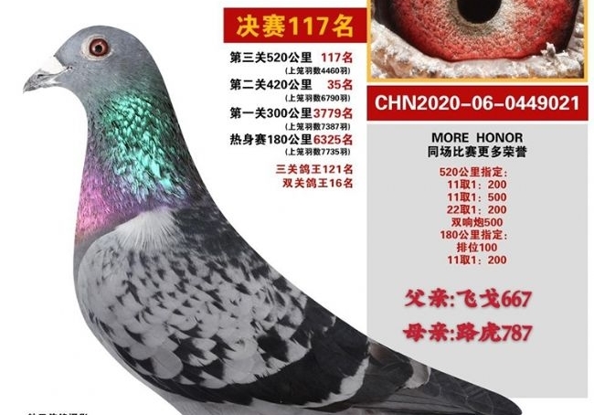 2020��������ջ񡪡����˸�������