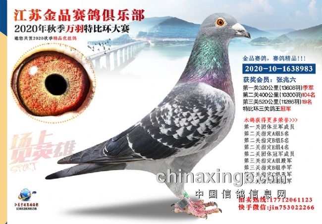 �ø��Ӿ�Ҫ�عض��� �����������̵�