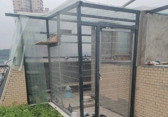 �������� ��Ը����ס�¼�