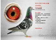 һ·����һ·�� �������Ƕ���Ϊɶ�ý���