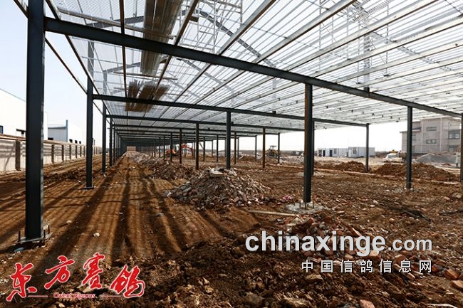 ����������ث�ֹ���