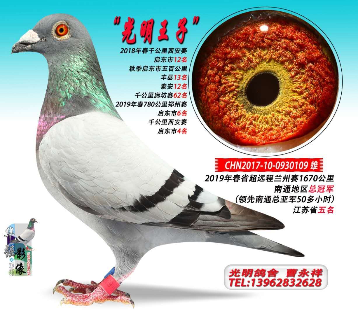 ��������ǧ������λ ��ͨ�ܹھ����������ӡ�