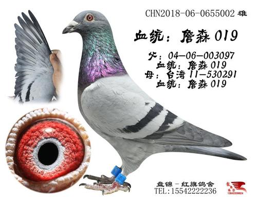 ����������Ϊʲô�Ѳ���