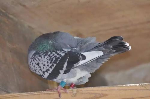 �й�������Ͻ�Ǯս���������Ÿ��˶����ʵı仯