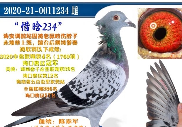 ���赥��д���淶 ���ֵ�ǧ����ھ�������