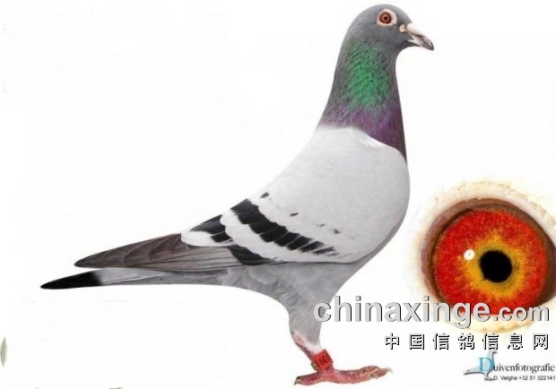 ̰����һ���� ����Ҫ����