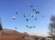 ���ӷɳ���լ�� ��ͼ��