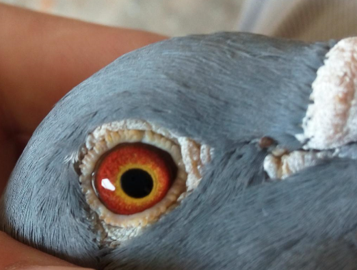 ���ۣ�������ɰ��������ɰ����