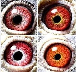 ���ۣ���Կ��������ۣ�