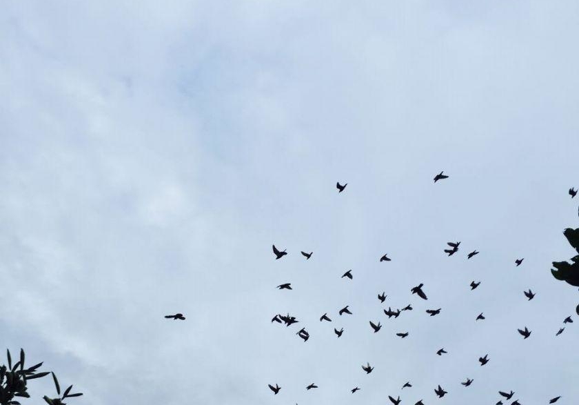 �뺷�ҷɸ��� ��ս����5��ħ��ѵ��