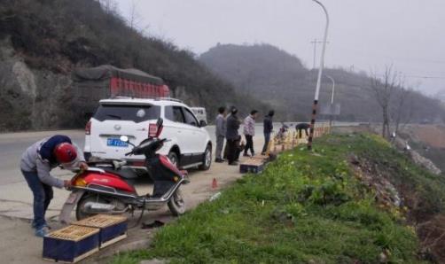 �񽱸봺ѵΪ��Ƶʧ��