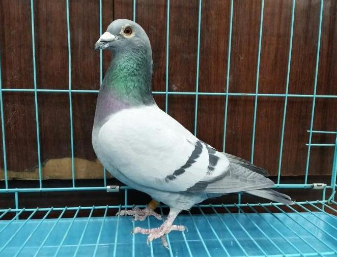 �Ӵ����������