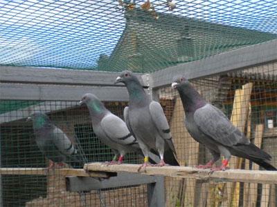 ���ۣ�ʲô���Ĺ��ﲻ�ܽ���