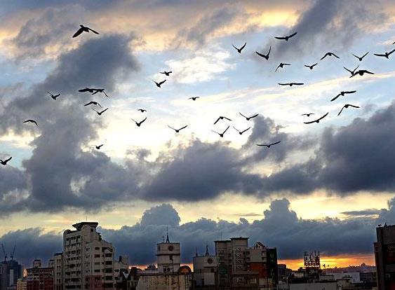 ���顶���ۿ����硷�������׷�Ԥ�棡