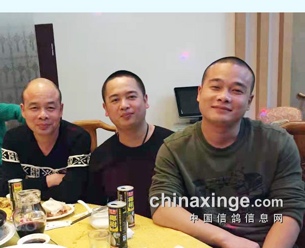 ���ֵ��������� ղɭС��������������ھ�