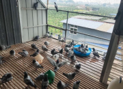 ��������������ò� ���Һ�