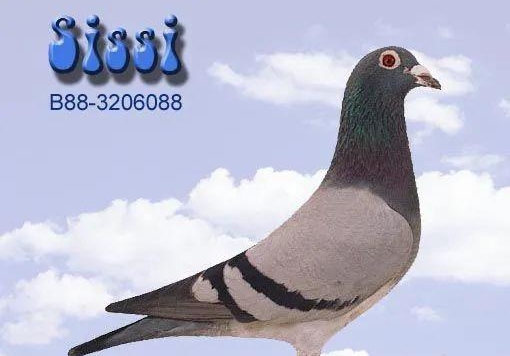 ԽƯ���ĸ���Խ������