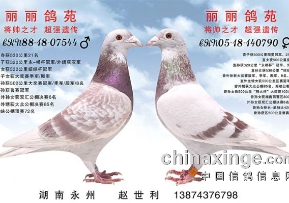 ǳ��������֡�  ��˧֮�� ��ǿ�Ŵ�