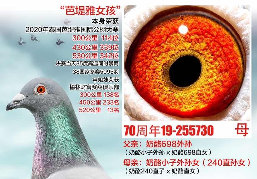 ̩���ŵ��Ÿ��±���鳲���ҽ���