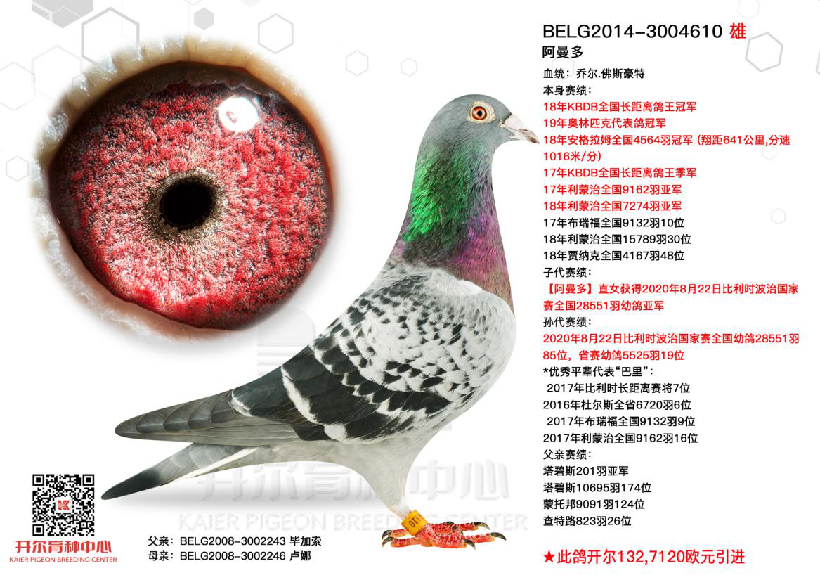 �������������������֣������Ķ������