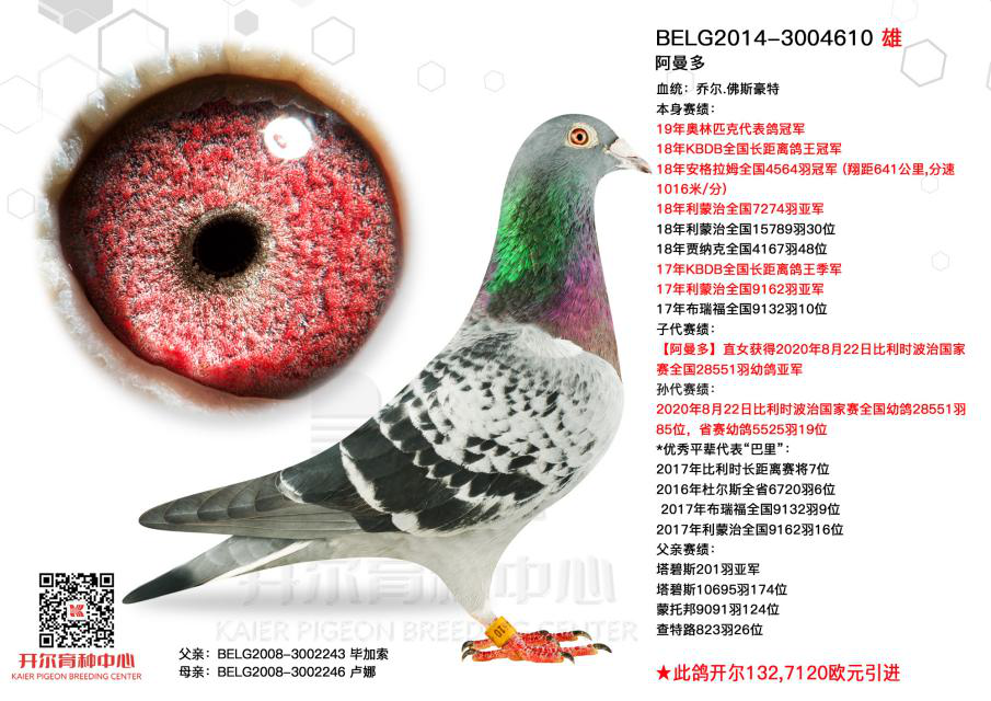 4���Ӵ��ѵ����� ˭���񡰰����ࡱ��