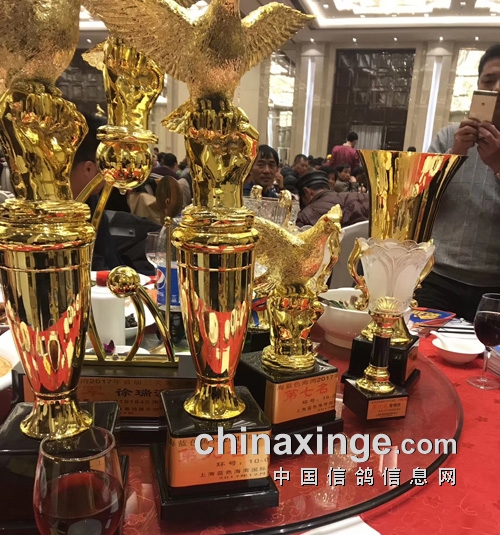 �����书Ψ�첻�ƣ�����������ٶ�������