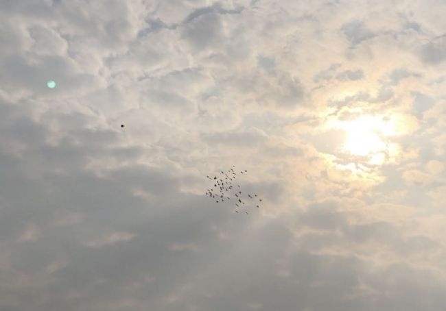 �ڸ����������� �������˵�ѡ��