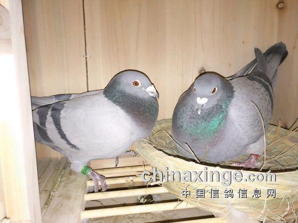 ����ͷ�Ѻã�