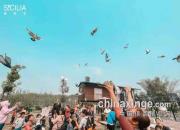 �ŷɴ�����Ÿ� �ذ��Ա�֢��ͯ