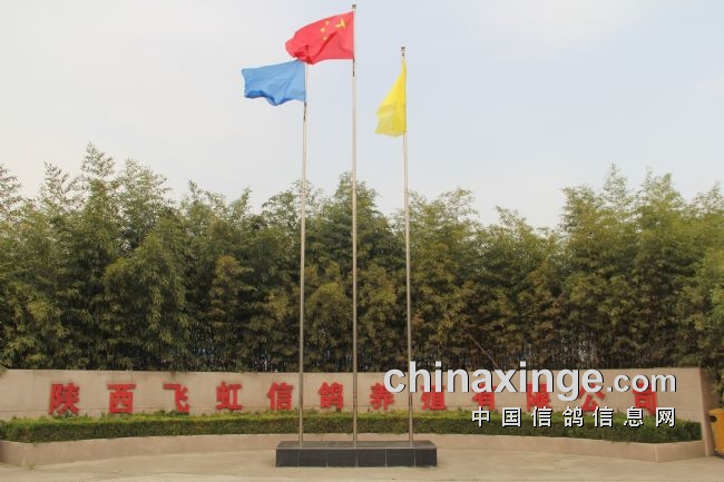 �ʺ���ҫ��գ������ɺ紺�����4617��