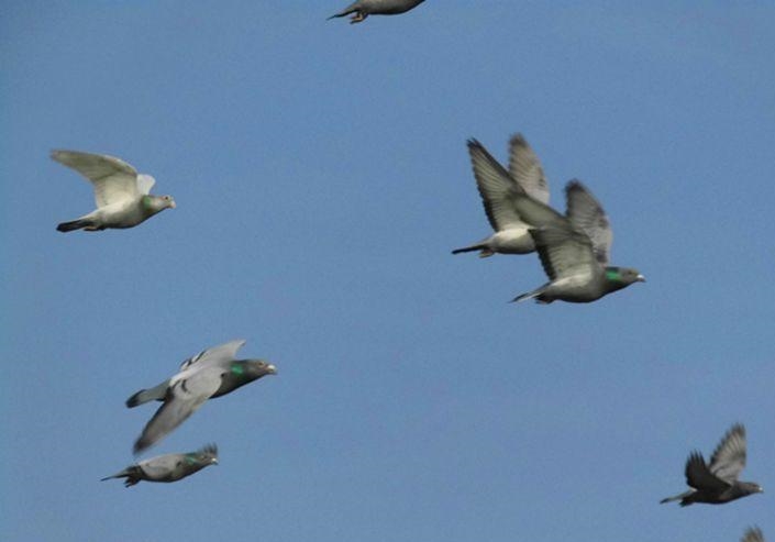 �����Ӽǣ���δ�� ��ץ���뿴�ָ�