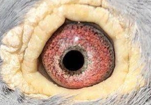 �����ܴ���ɰ�п����ھ���������