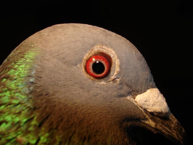 �����ۿ����硷��һ�£���������̾Ϣ