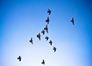 ���Լ��ĸ����ǿ��� �����˵ĸ����Ǽ�į