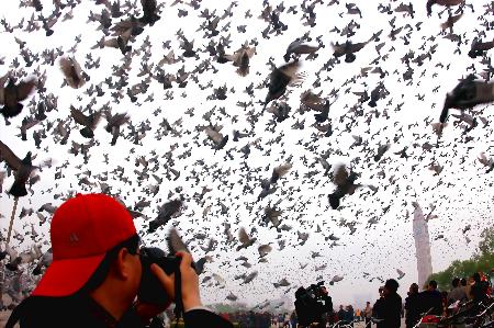 ���㶦�������й���½�Ÿ�����ǳ��