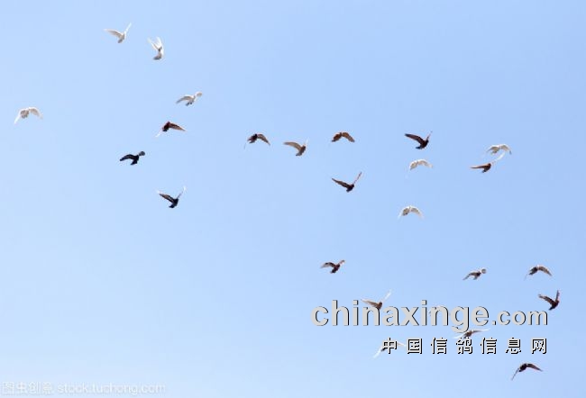 ����������Ծ���� ��ϲ�����ǣ�