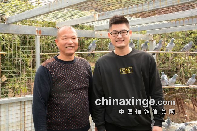 �����۱������� ר�ø�����������֣��