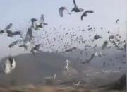 �����и�����������Ļ ��һ�عھ�����