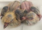 �ҵ������ռ�