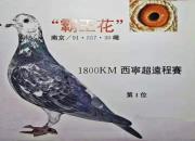 �ϸ����ͣ���Զ����ġ���������