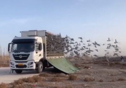 ����ӭ�����ź� �����������һ