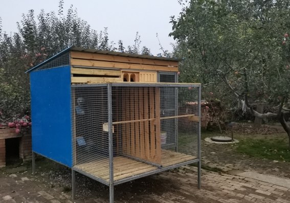 �����Ȱ��������� ������ʮ��ʮ