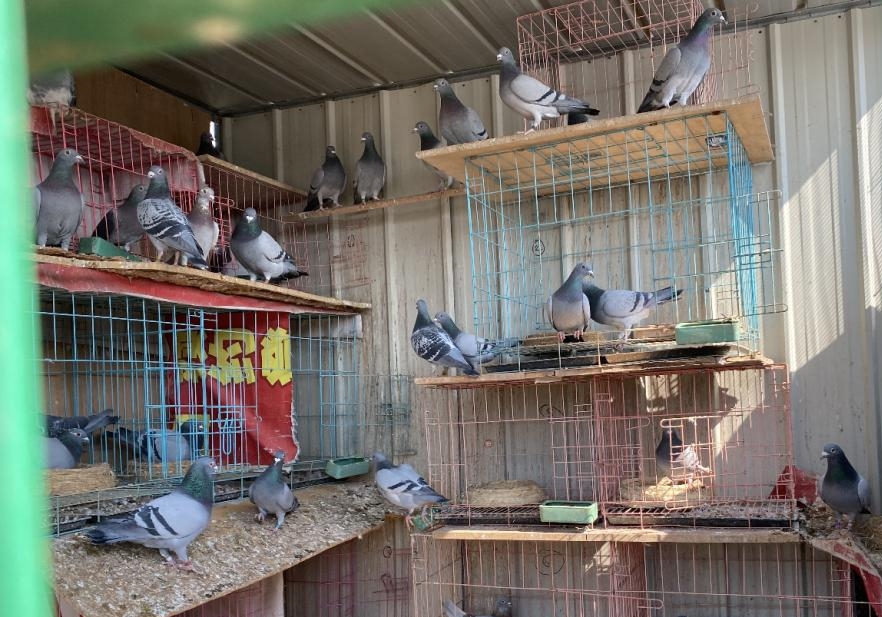 ���������¥����һ�ٶ�ֻ����