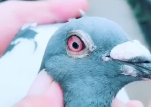 ��չ����� ������ʮ��ʵ�ֹھ�������