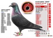 �����Ǿ���ɫ����3337�ٴ��漣 ն��50��