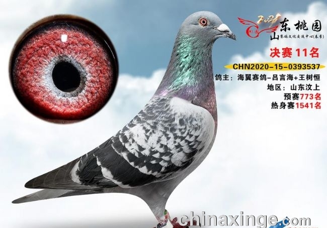 �׸���̭Ҫ����