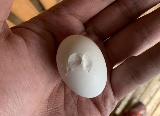 �����ǣ�Խ��Ҫ�ĵ�Խ���׳�����