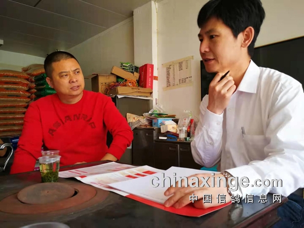 ����С�������ʮ��������