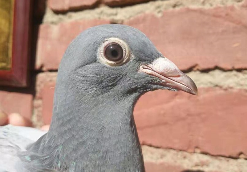 ���Ǩ�����͹��� �����þ���287��