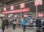 ��ɽ�������1.2�����չ鲻���ĳ�